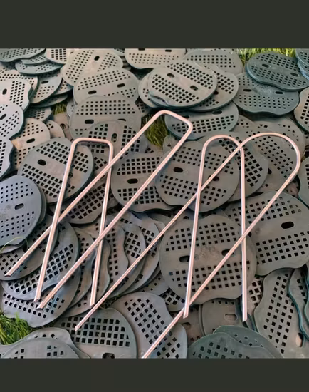 Artificial Turf Nail Hot DIP Galvanized SOD Nail Anti